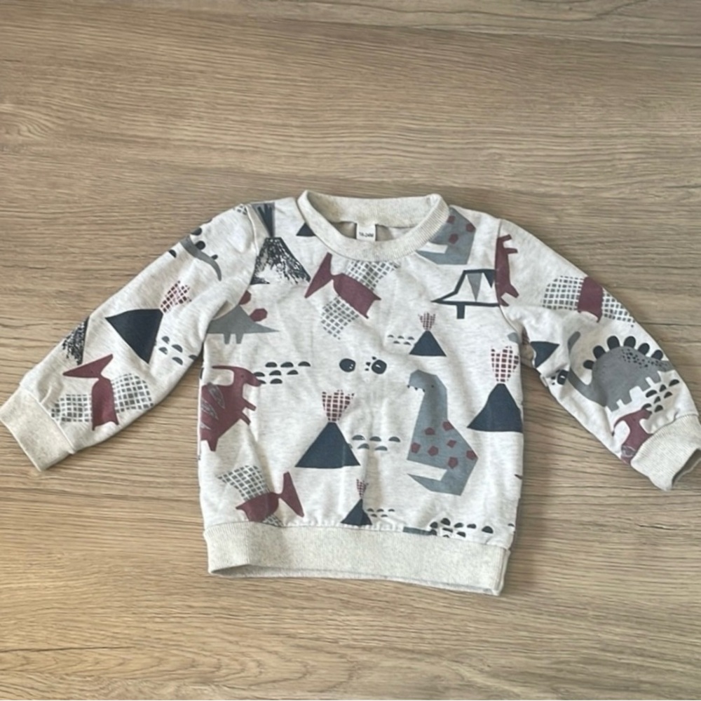 Dinosaur Print Kids Sweatshirt - Gray